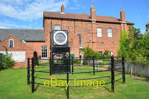 Photo 6x4 cattle - 6x4,