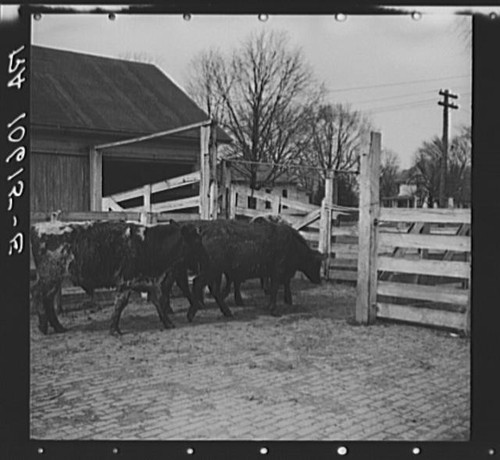 Photo aledo illinois - photo:aledo,