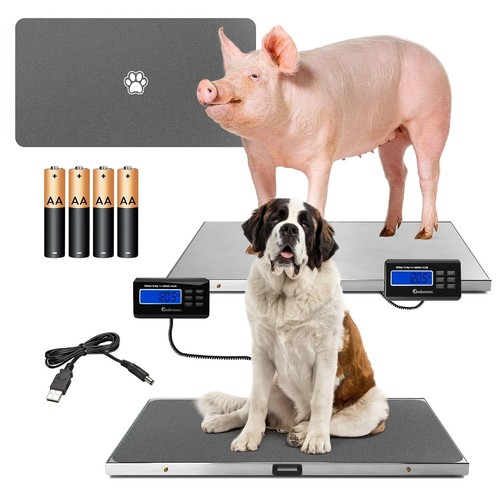 Livestock weighing scale - livestock,