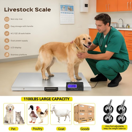 Digital vet scales animal - vet,